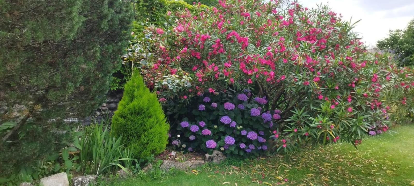 אובנה Gite 5 "Le Laurus" Aux Magnolias מראה חיצוני תמונה