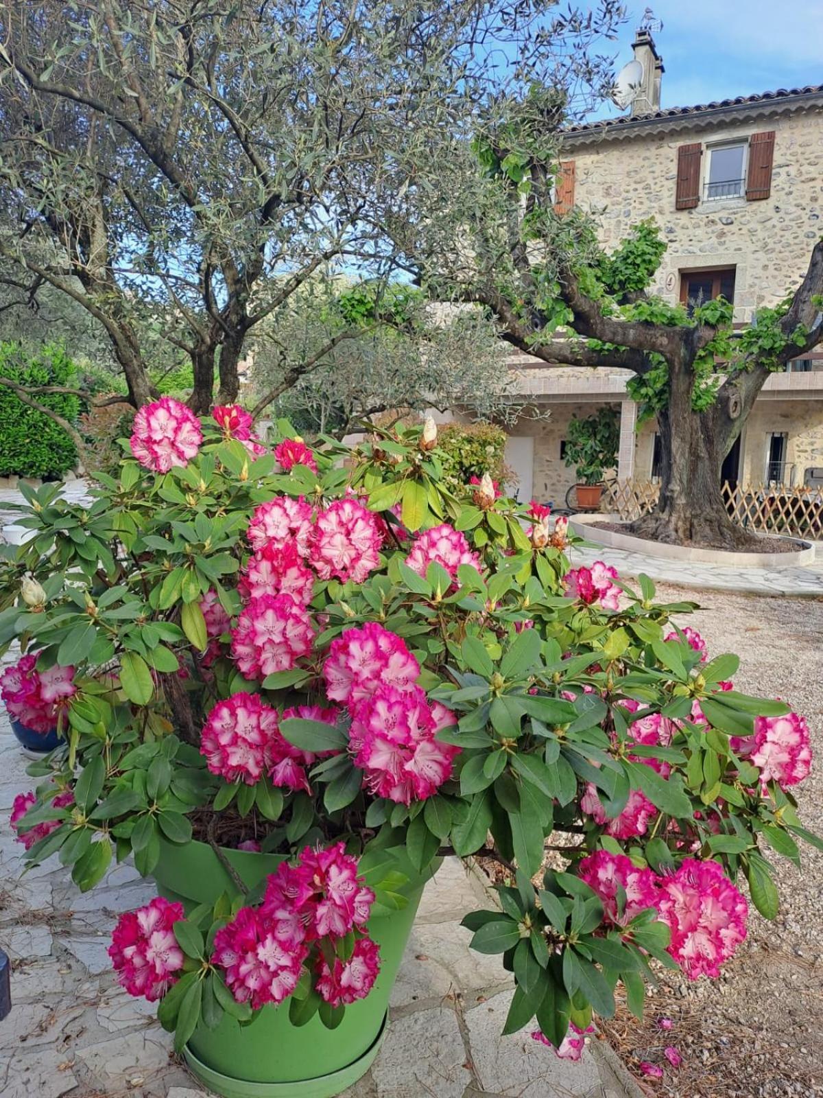 אובנה Gite 5 "Le Laurus" Aux Magnolias מראה חיצוני תמונה