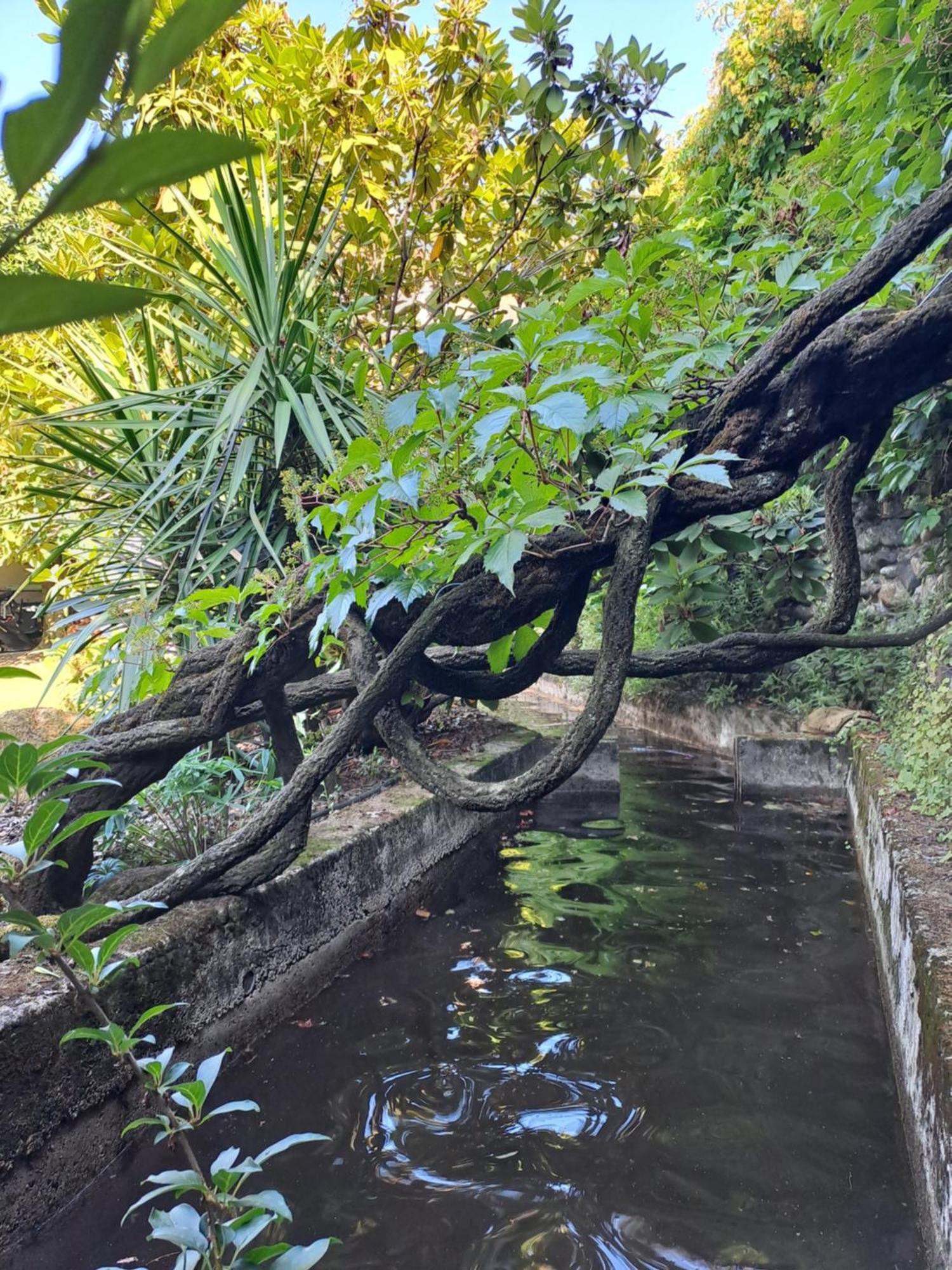 אובנה Gite 5 "Le Laurus" Aux Magnolias מראה חיצוני תמונה