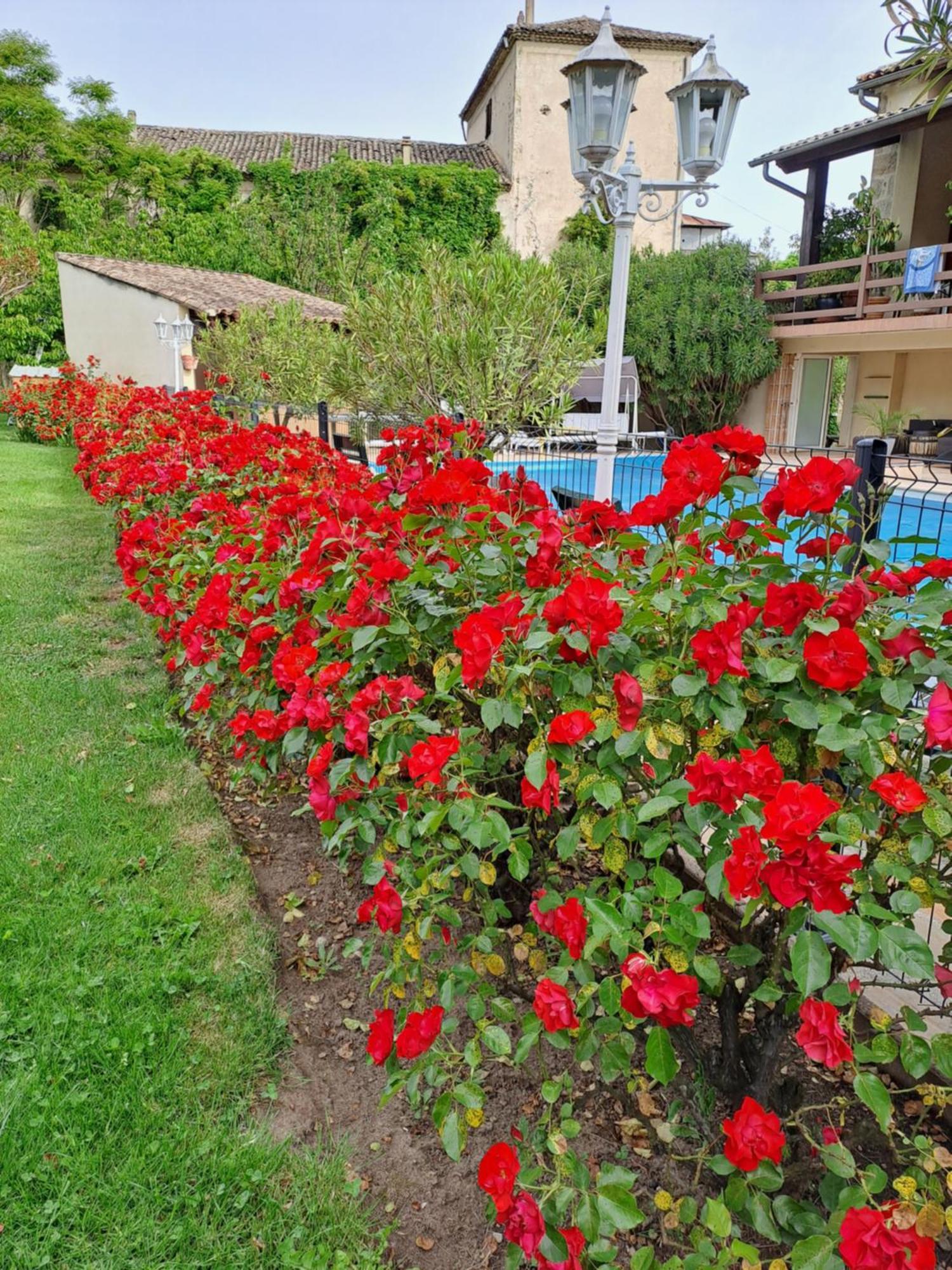 אובנה Gite 5 "Le Laurus" Aux Magnolias מראה חיצוני תמונה